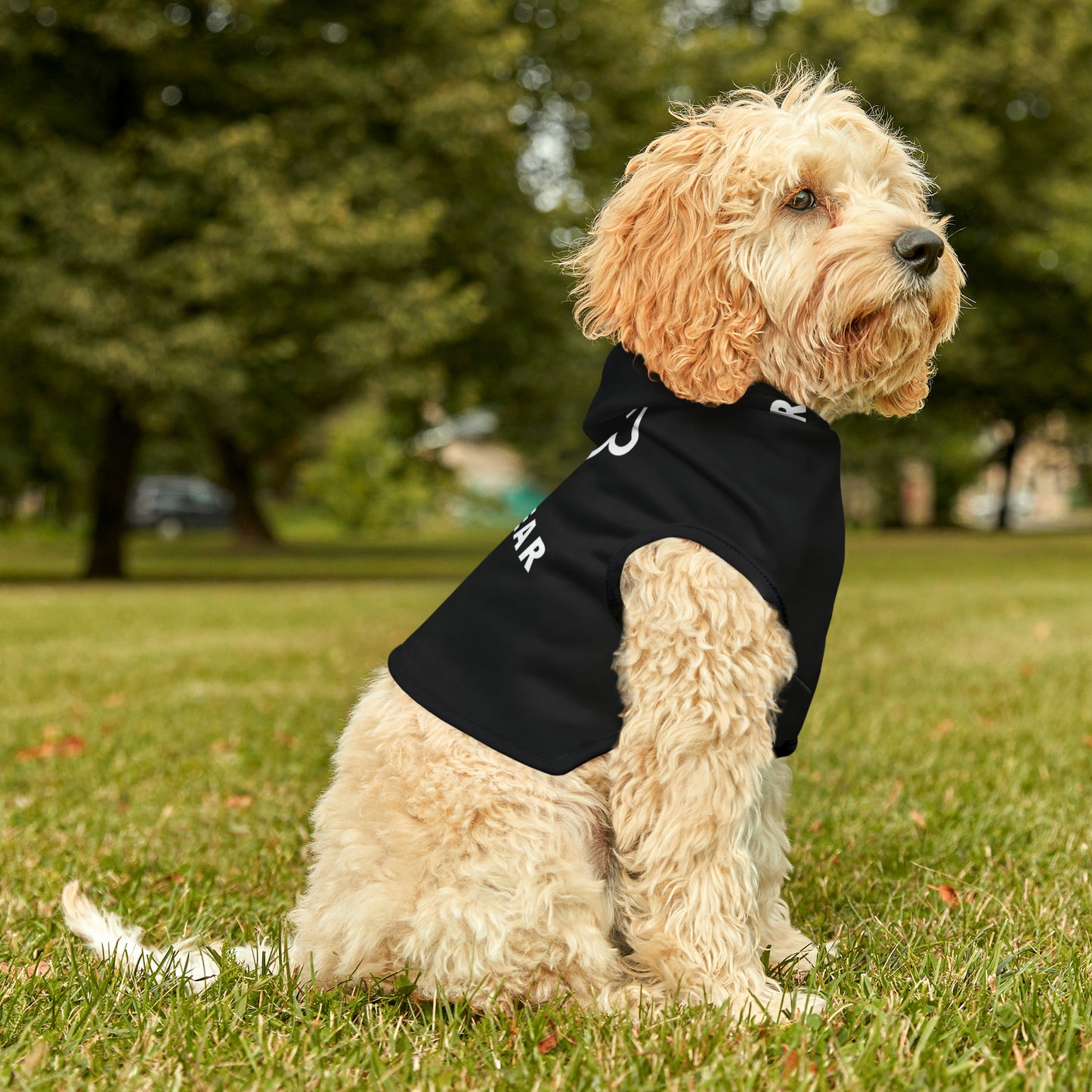 LUU WEAR BLACK PET HOODIE